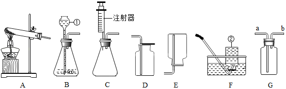 图片_x0020_1582800830