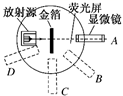 图片_x0020_100001