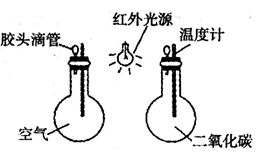 图片_x0020_100034