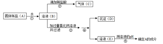 图片_x0020_2055693558