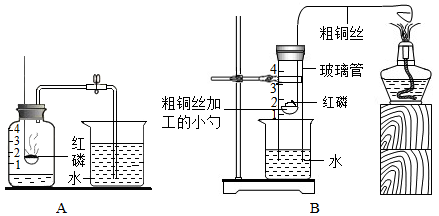 图片_x0020_234448766