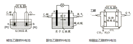 图片_x0020_100020
