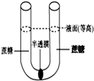图片_x0020_100001