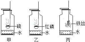 图片_x0020_100016