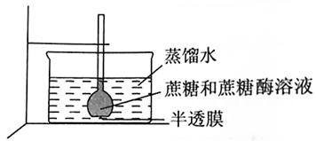 图片_x0020_34147694