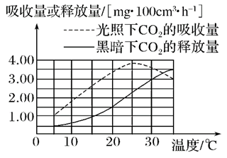 图片_x0020_100008