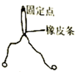 图片_x0020_100018