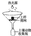 图片_x0020_100009