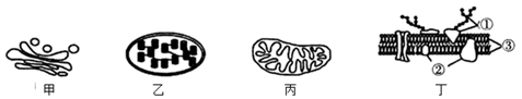 图片_x0020_100009